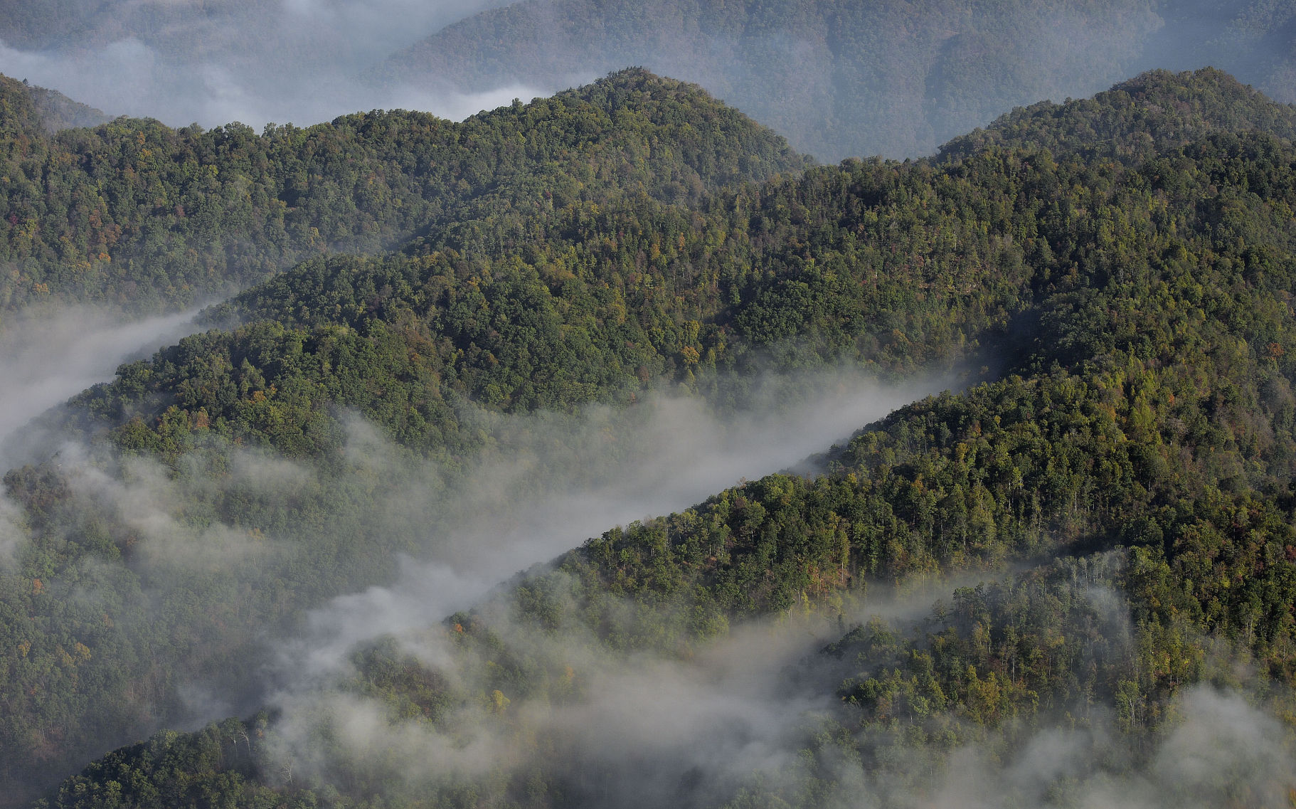 Morning Mists